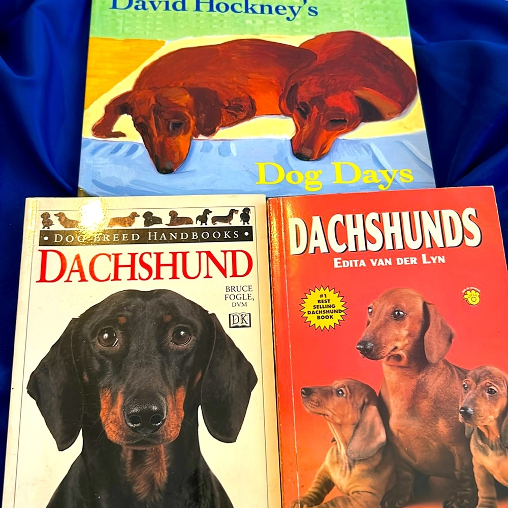 Dog Days by David Hockney and Dachshund books